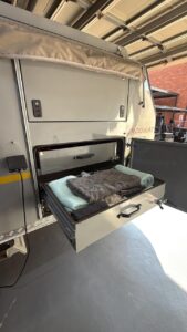 Afrispoor Caracal interior